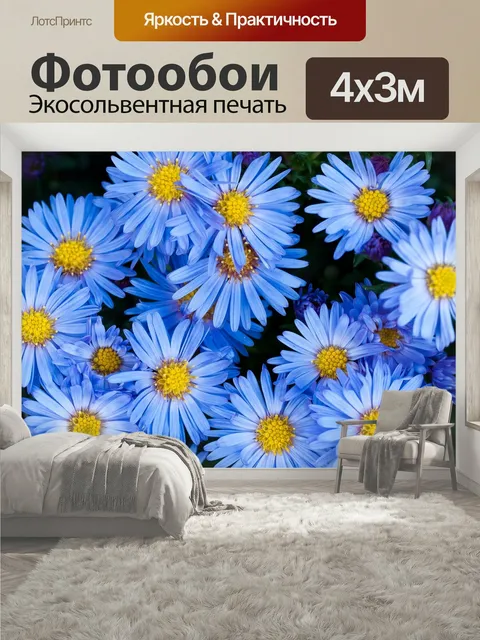 400 × 300 см · Экосольвентная печать