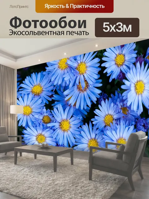 500 × 300 см · Экосольвентная печать