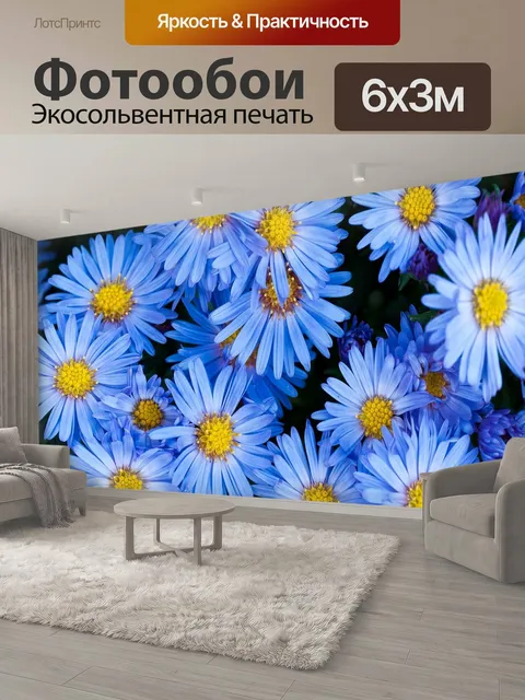 600 × 300 см · Экосольвентная печать