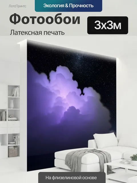300 × 300 см · Латексная печать