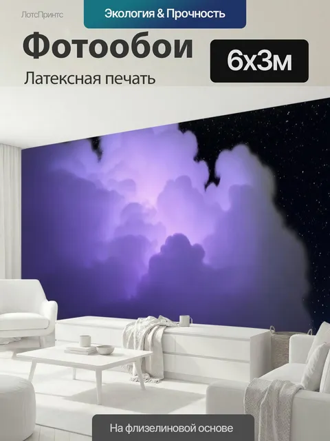 600 × 300 см · Латексная печать