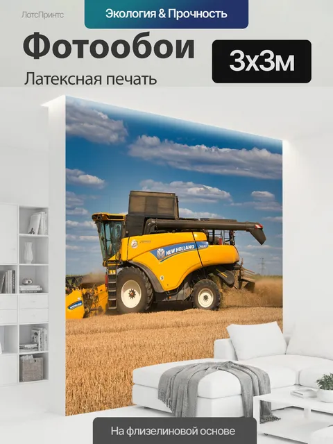 300 × 300 см · Латексная печать