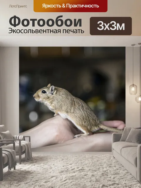Фотообои Песчанка, грызун, руки