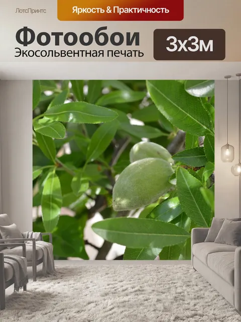 Фотообои Миндаль, цветы, весна