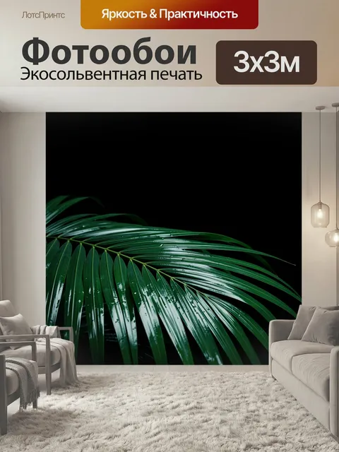 Фотообои Зелёная пальмовая ветвь на чёрном фоне