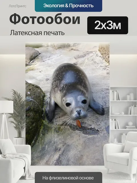 200 × 300 см · Латексная печать