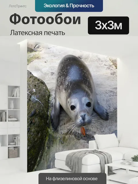 300 × 300 см · Латексная печать