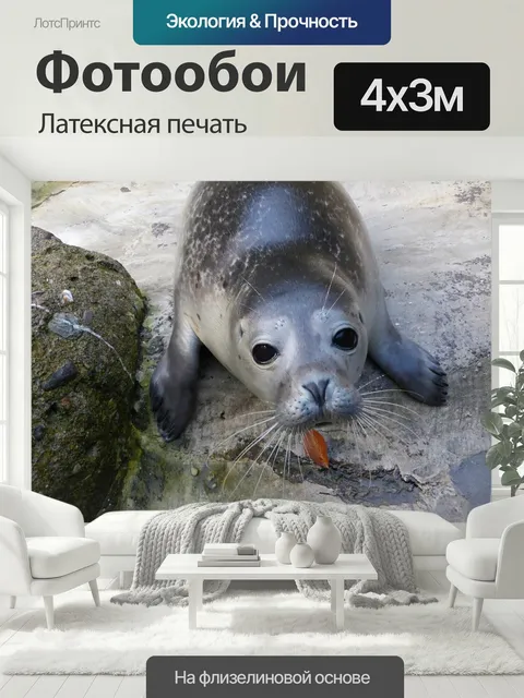 400 × 300 см · Латексная печать