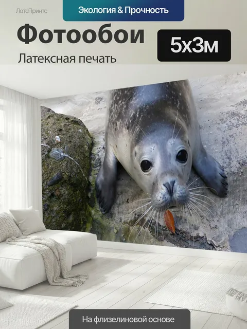 500 × 300 см · Латексная печать