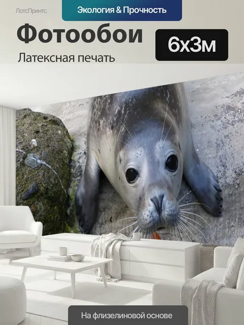 600 × 300 см · Латексная печать
