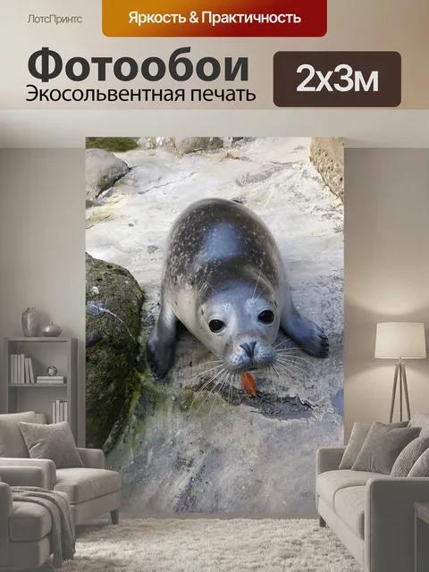 200 × 300 см · Экосольвентная печать
