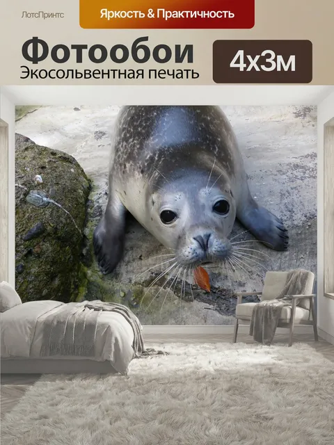 400 × 300 см · Экосольвентная печать