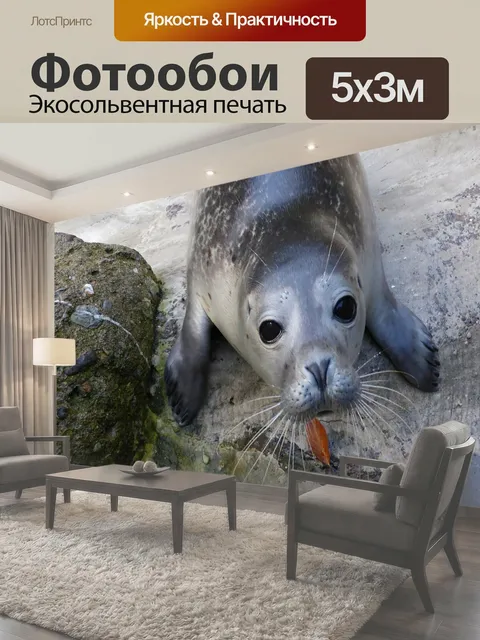 500 × 300 см · Экосольвентная печать