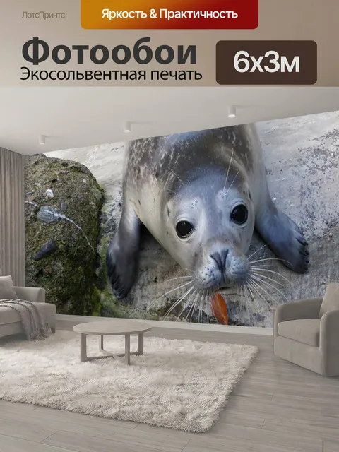 600 × 300 см · Экосольвентная печать