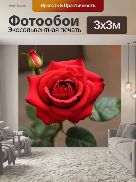 Фотообои Большая красная роза цветы