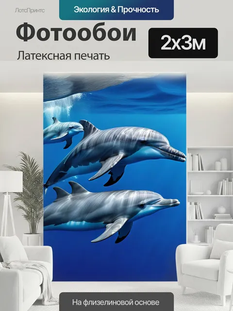 200 × 300 см · Латексная печать
