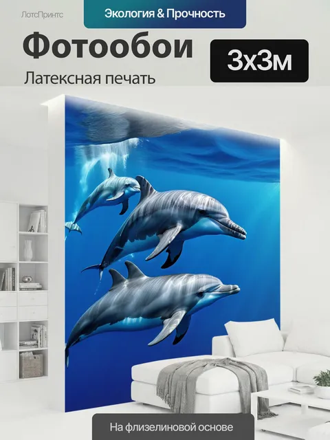 300 × 300 см · Латексная печать
