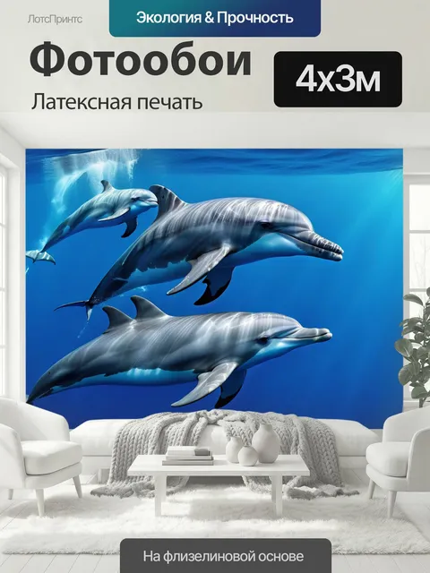 400 × 300 см · Латексная печать