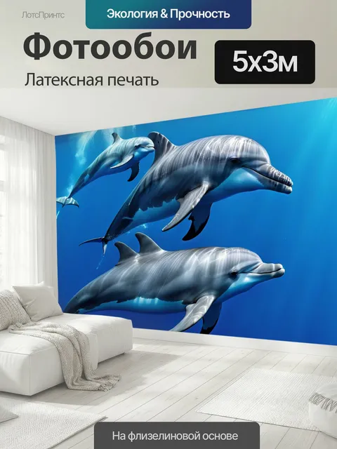 500 × 300 см · Латексная печать