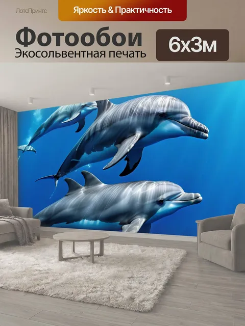 600 × 300 см · Экосольвентная печать