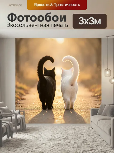 Фотообои Пара кошек на закатном пути. Два питомца, чёрный и белый, шагают рядом в лучах заходящего солнца. Мягкое боке…