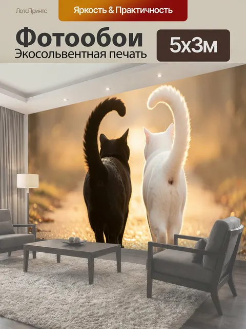 Фотообои Пара кошек на закатном пути