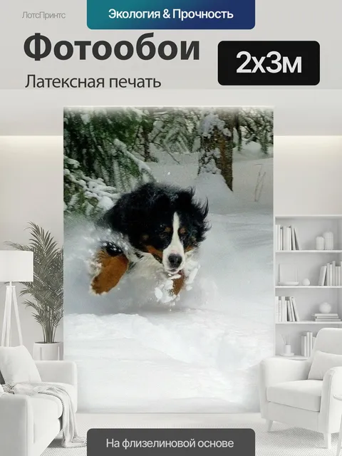 200 × 300 см · Латексная печать