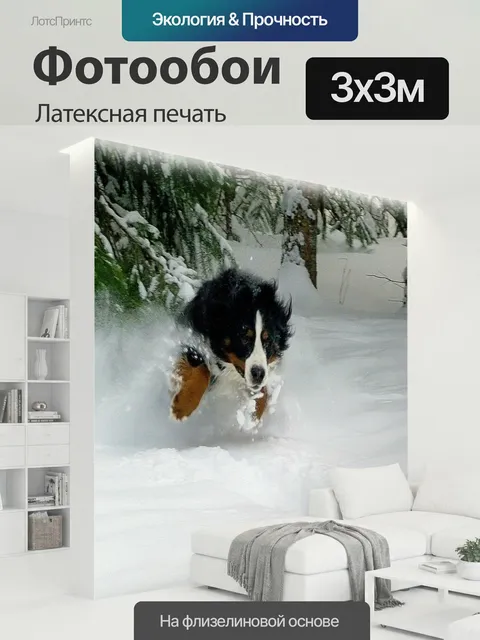 300 × 300 см · Латексная печать