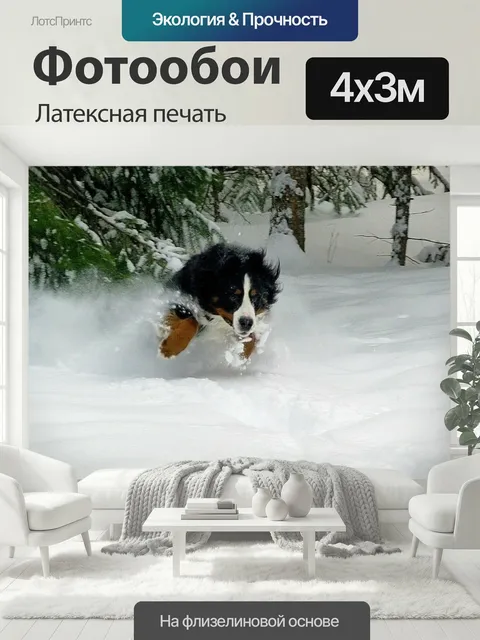 400 × 300 см · Латексная печать