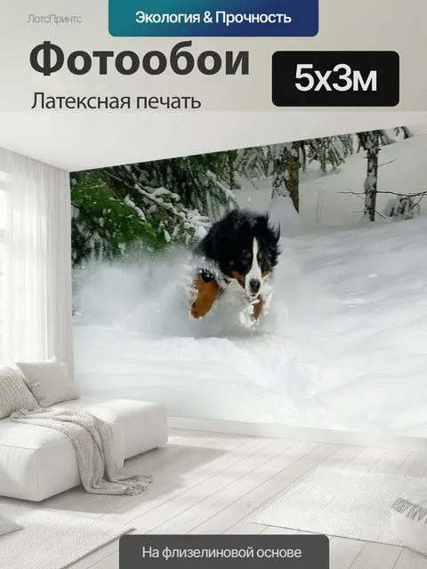 500 × 300 см · Латексная печать