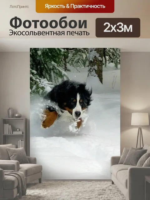 200 × 300 см · Экосольвентная печать