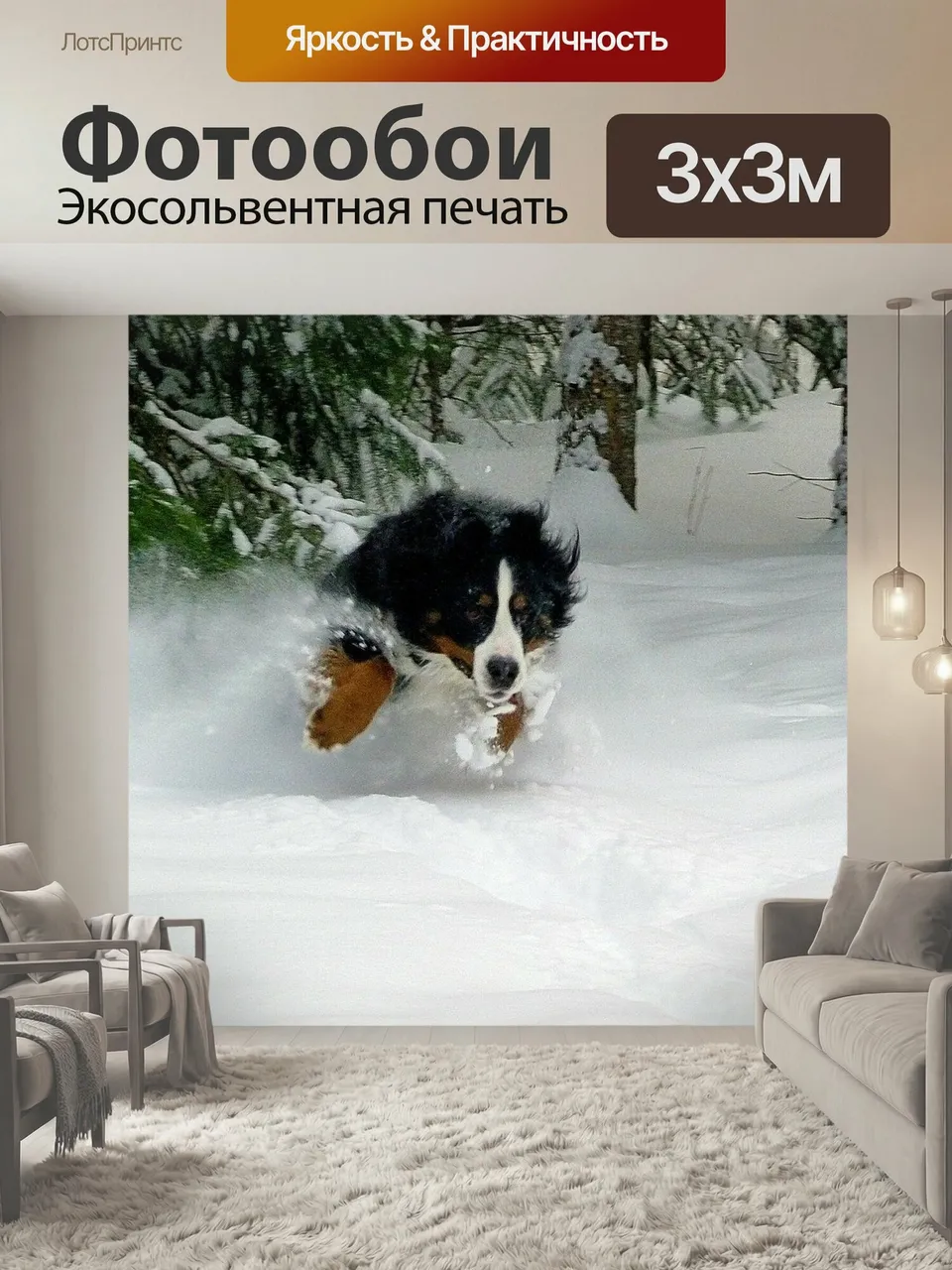 Фотообои Прыжки, собака, бернский зенненхунд