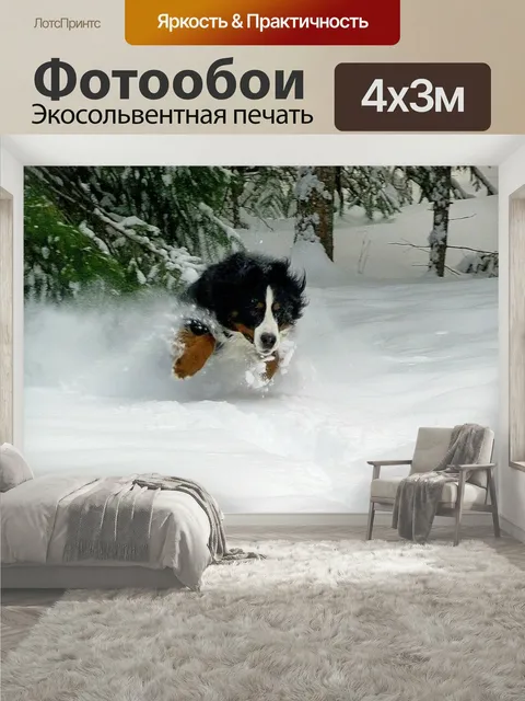 400 × 300 см · Экосольвентная печать