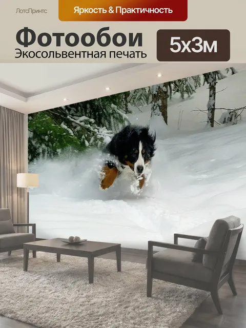 500 × 300 см · Экосольвентная печать