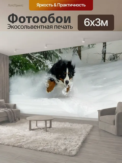 600 × 300 см · Экосольвентная печать