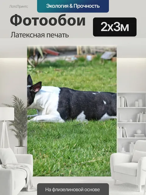 200 × 300 см · Латексная печать