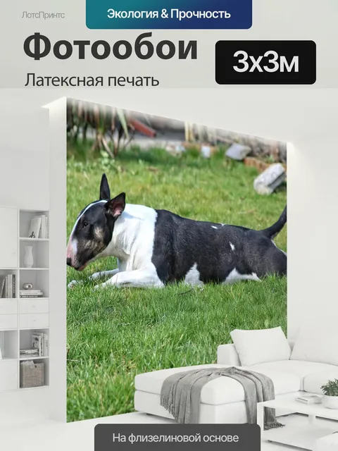 300 × 300 см · Латексная печать