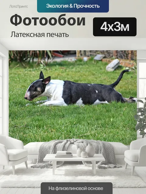 400 × 300 см · Латексная печать