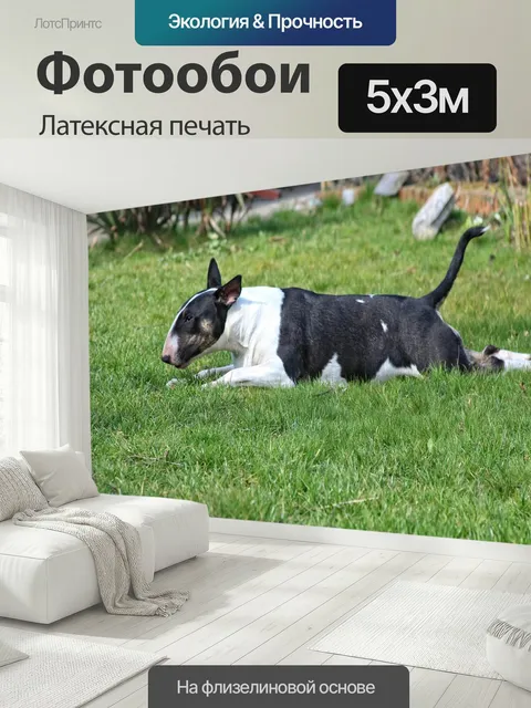 500 × 300 см · Латексная печать