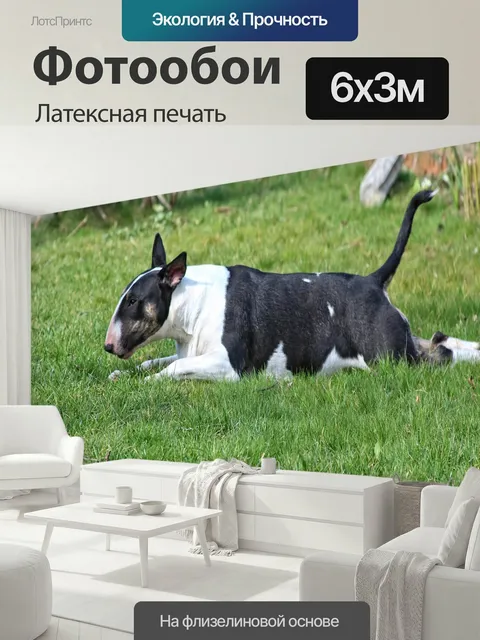 600 × 300 см · Латексная печать