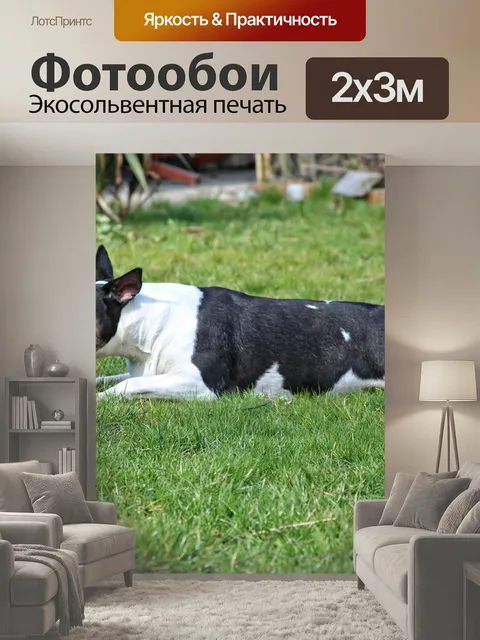200 × 300 см · Экосольвентная печать
