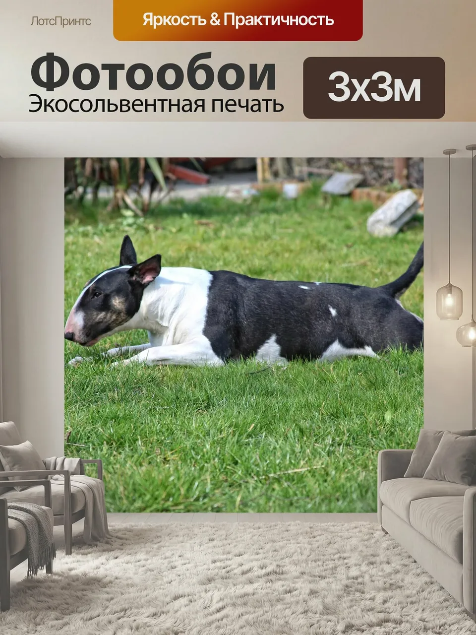 Фотообои Собака, бультерьер, черно-тигровый