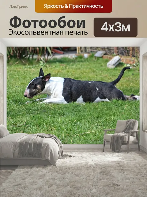 400 × 300 см · Экосольвентная печать