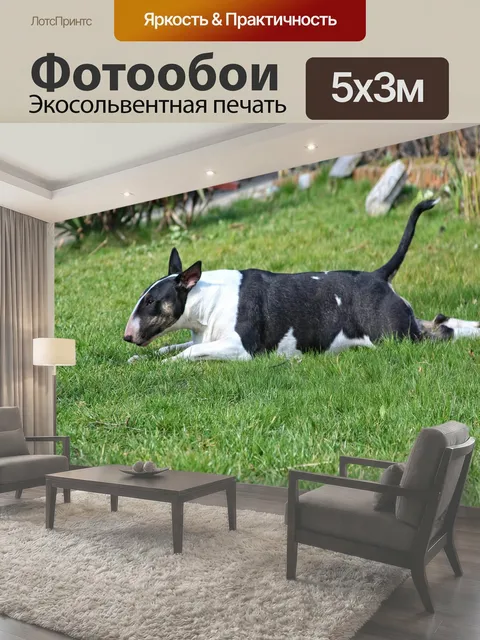 500 × 300 см · Экосольвентная печать