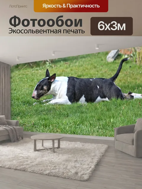 600 × 300 см · Экосольвентная печать