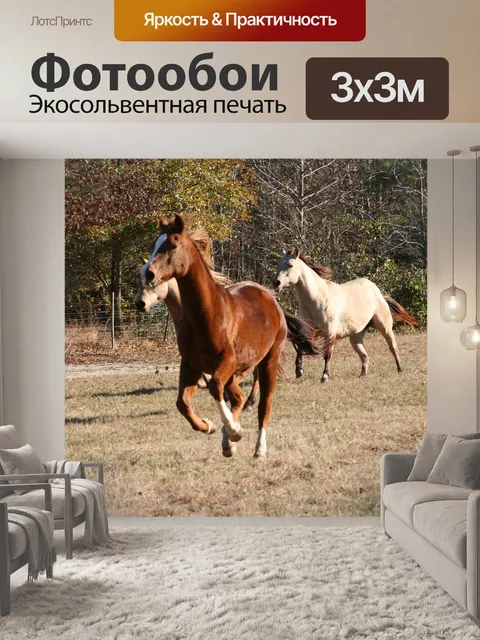 Фотообои Лошади, ранчо, ферма