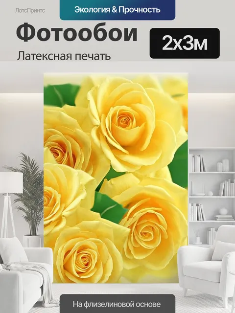 200 × 300 см · Латексная печать