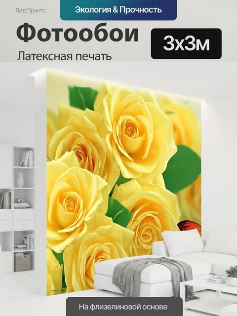 300 × 300 см · Латексная печать