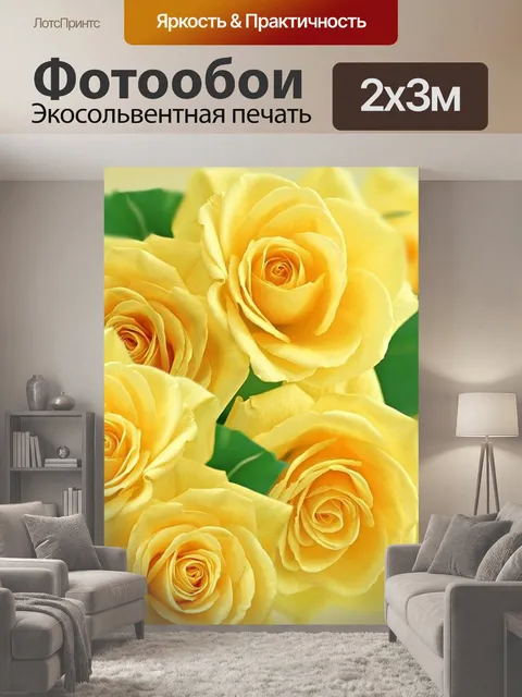 200 × 300 см · Экосольвентная печать
