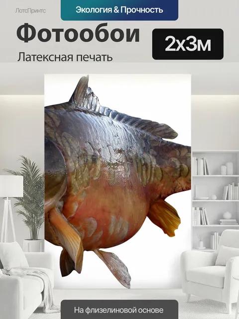 200 × 300 см · Латексная печать